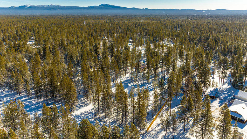 Forest View - Residential