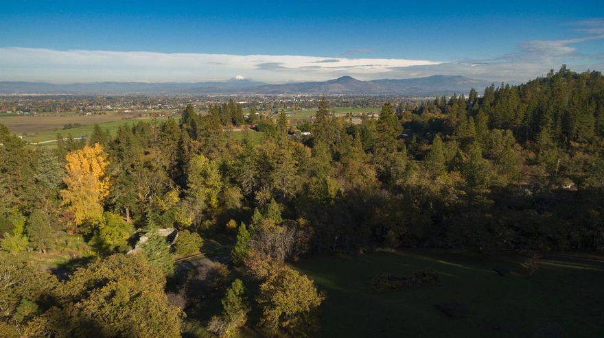 Build your secluded mountain top dream home on 19.17 beautiful acres with amazing, panoramic views of Roxy Ann, Table Rocks, Mt. McLoughlin, Mt. Thielsen and the Rogue Valley. Home site is nestled in the trees with large open meadow and plenty of sunlight. Homesite already has a well and septic. Irrigation rights for 4 acres. So many opportunities exist with this rare piece of secluded property only minutes from town.