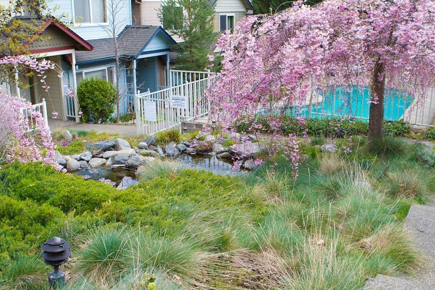 Very lovely 3 bed 2.5 bath condominium in 8 unit complex. Light and bright unit with covered front porch, private fenced patio and storage shed. Beautifully landscaped with cascading waterfall and in-ground pool. HOA dues cover exterior maintenance, landscaping, water, sewer, garbage and insurance.