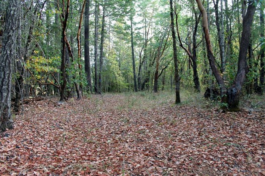 Just south of community of Obrien, prior to Arrowhead drive on the right ( heading south). Heavily wooded parcel, except for home site area that is partially cleared out & not far from the well and septic approved site. Driveway used to property is by easement and there is separate approved state (shared paved approach). Power lines on property, and the well of record on this parcel is l5 gpm, when drilled. Many varieties of trees, conifers and hardwood. Not too far to the beautiful Oregon coast, and close to small community of O'Brien.