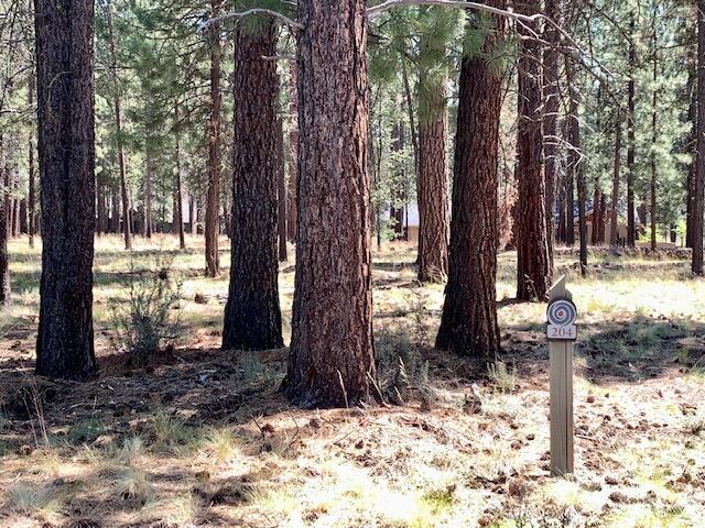 Caldera Springs - Land