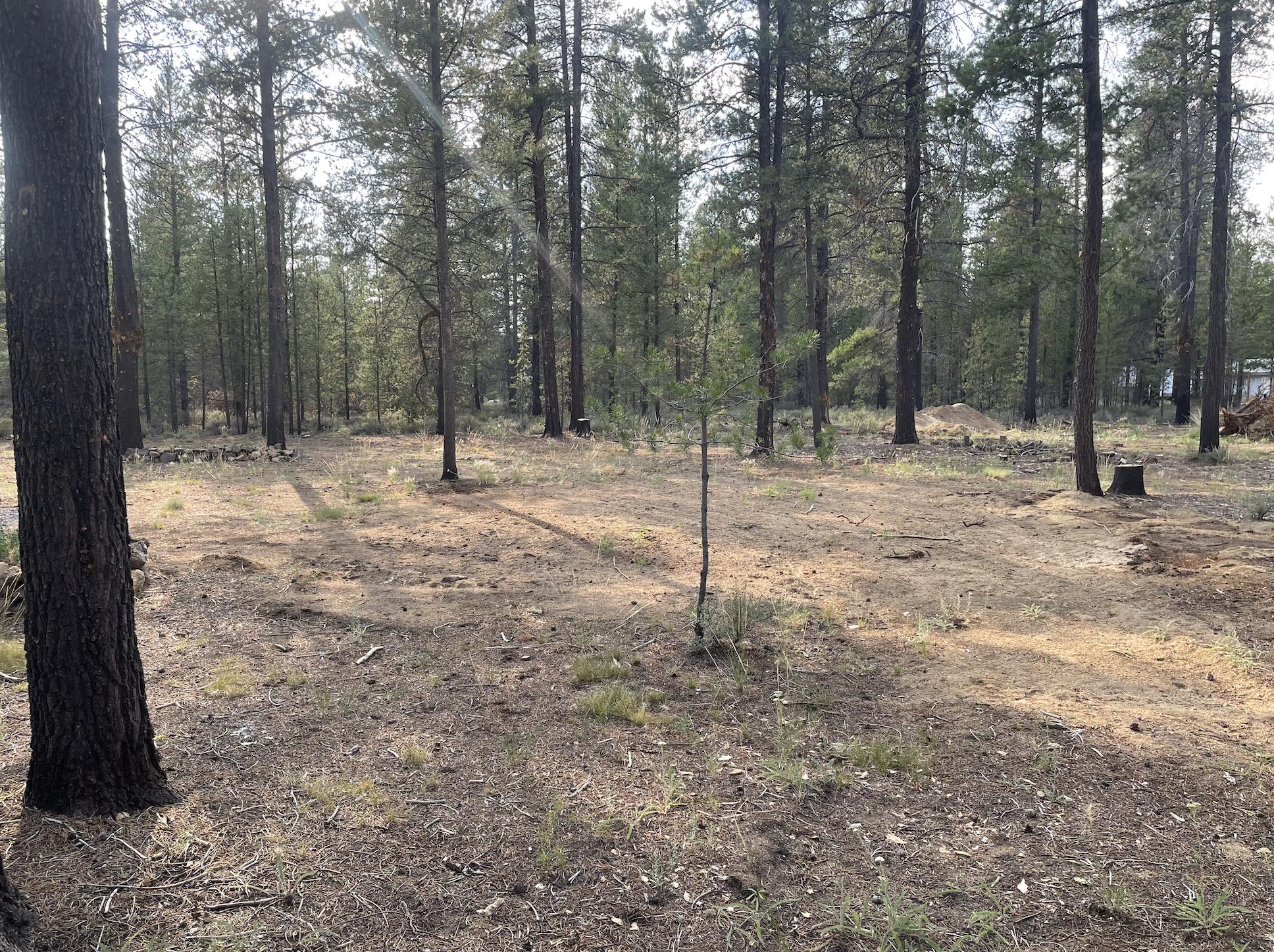 Cw Reeve Resort - Land