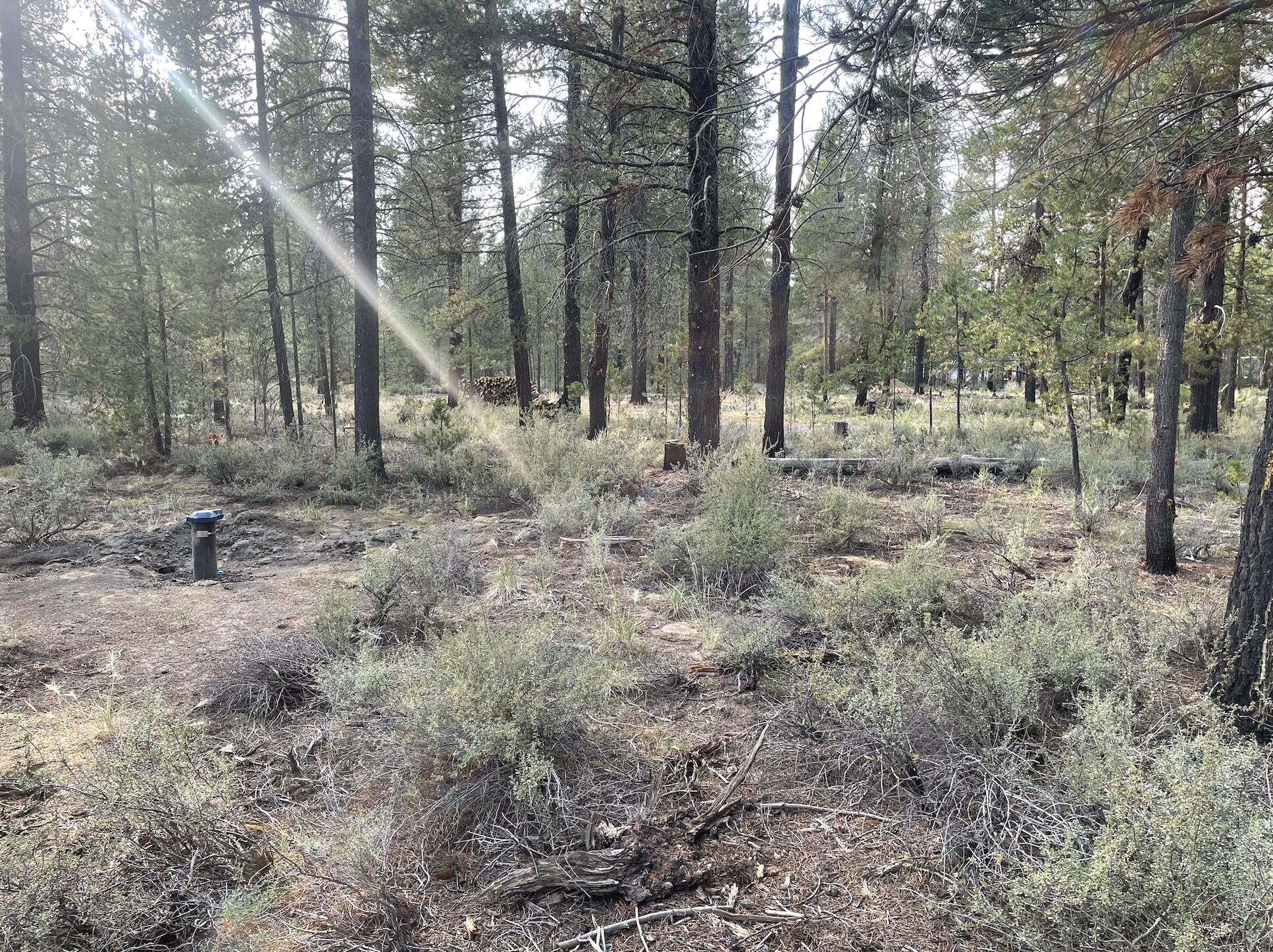 Cw Reeve Resort - Land