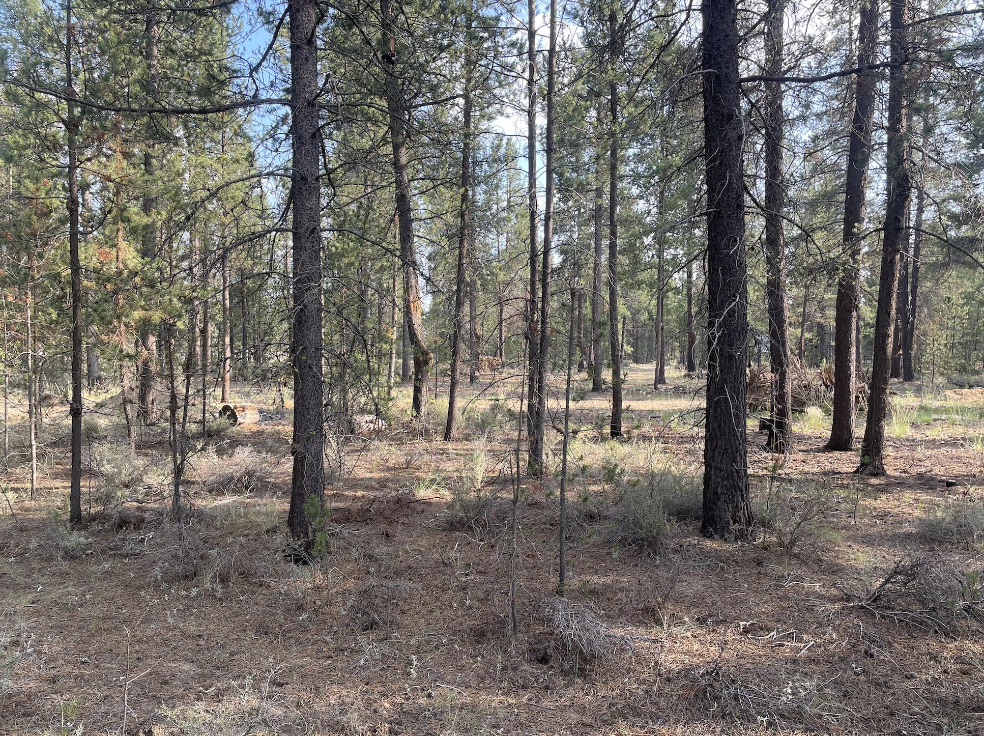 Cw Reeve Resort - Land