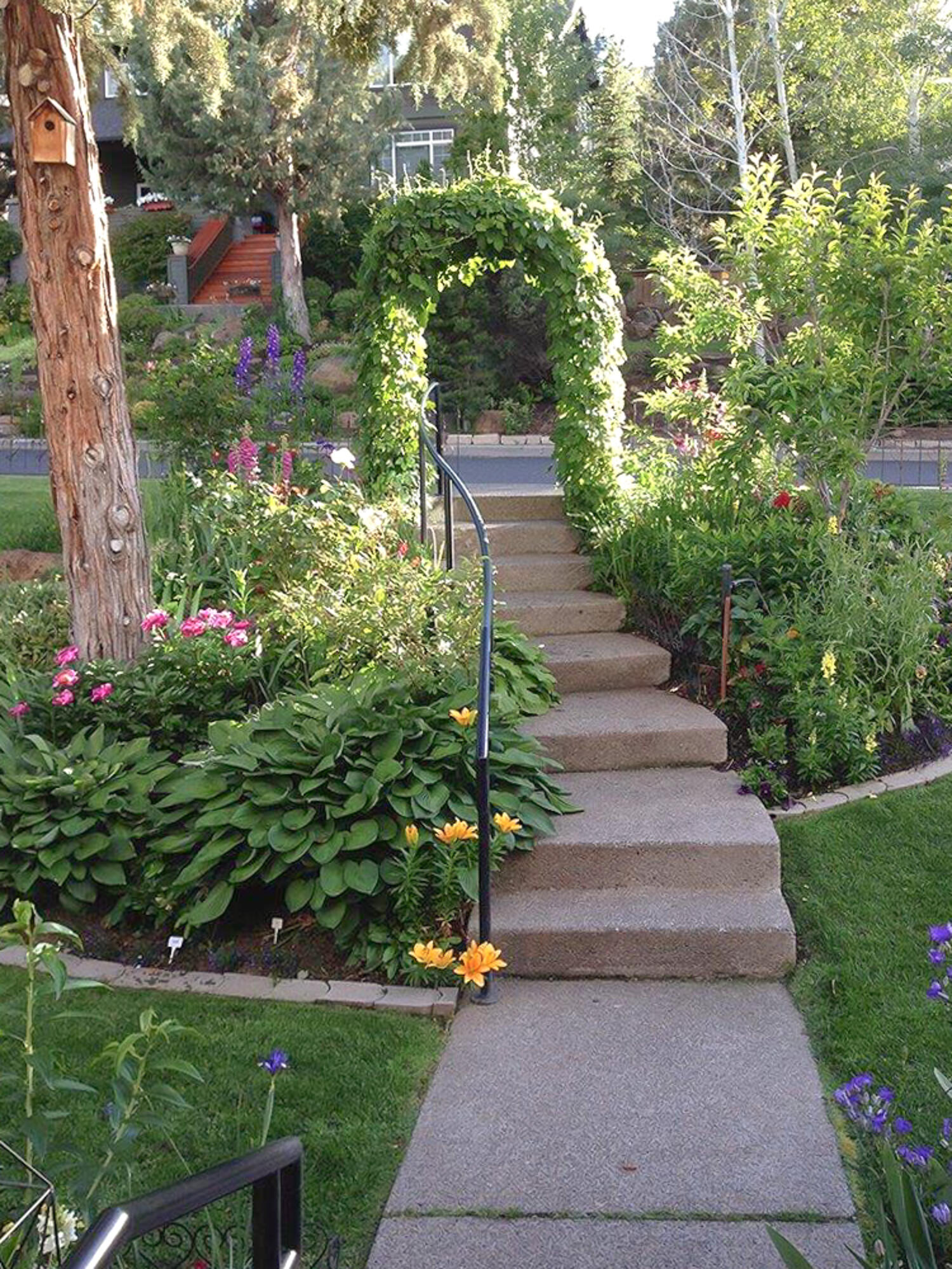 Awbrey Village - Residential