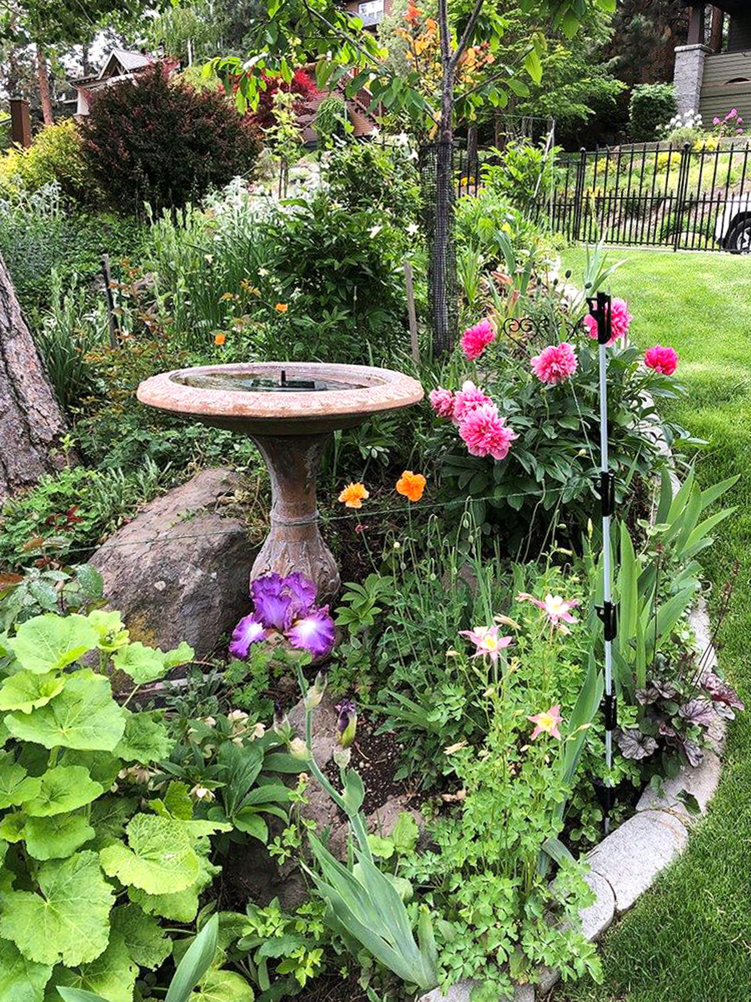 Awbrey Village - Residential