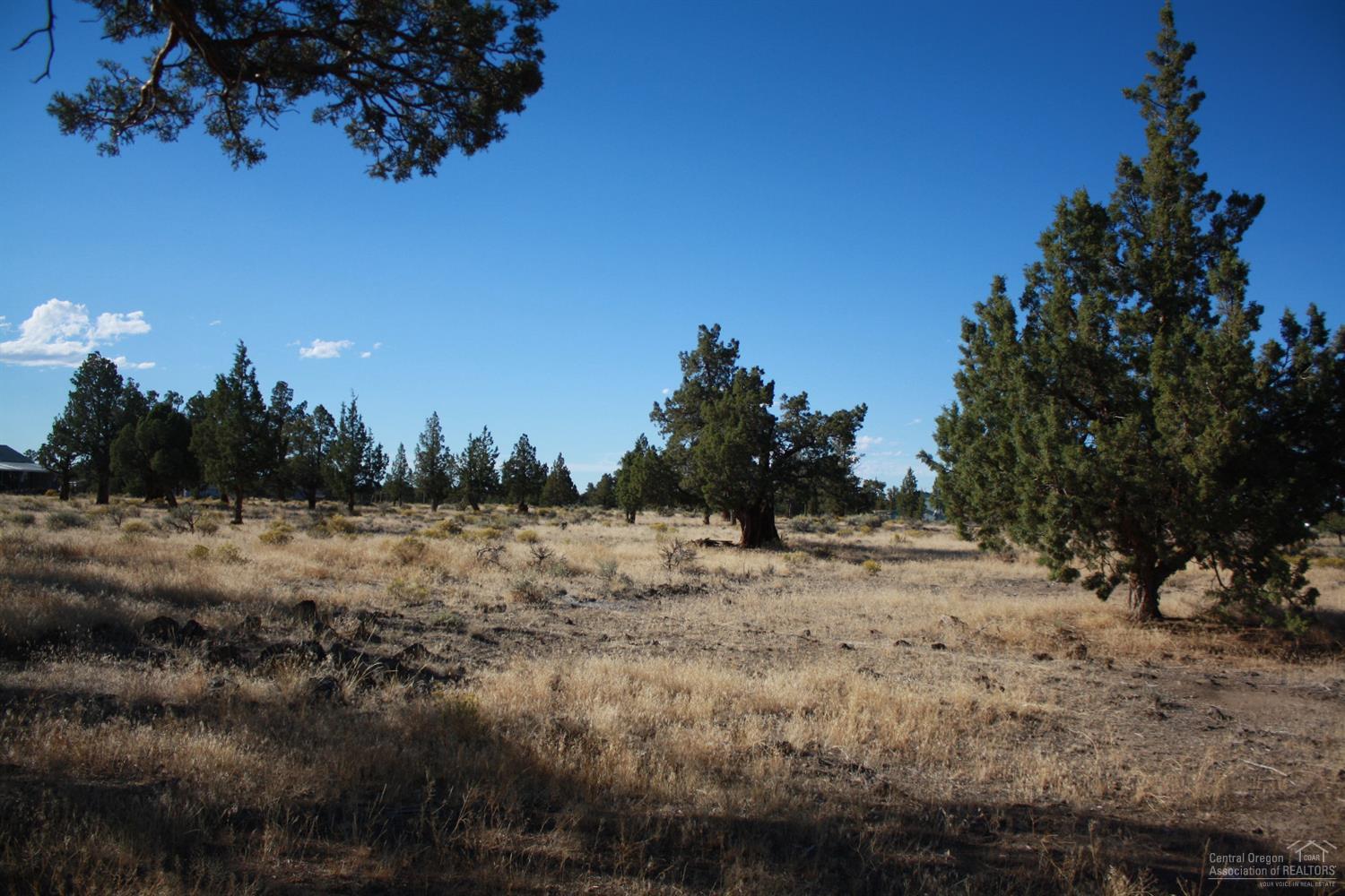 Bend Cascade View - Residential
