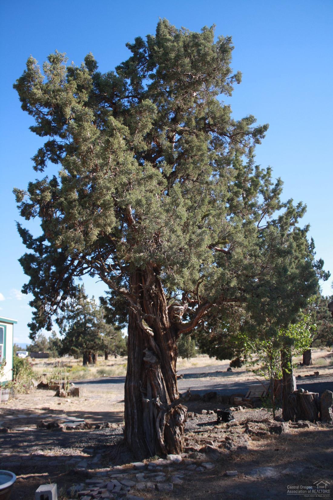 Bend Cascade View - Residential