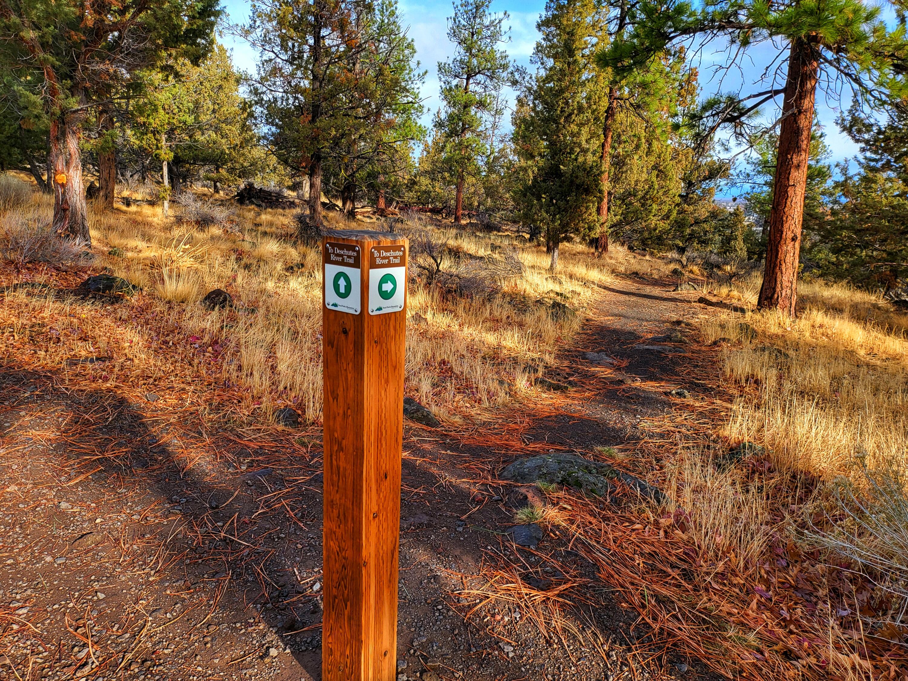 Awbrey Park - Residential