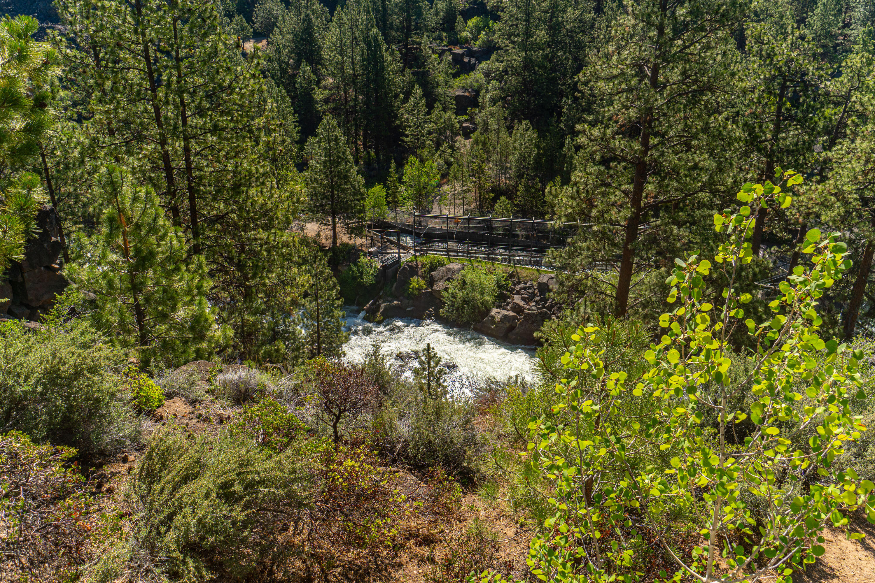 Sunrise Village - Residential