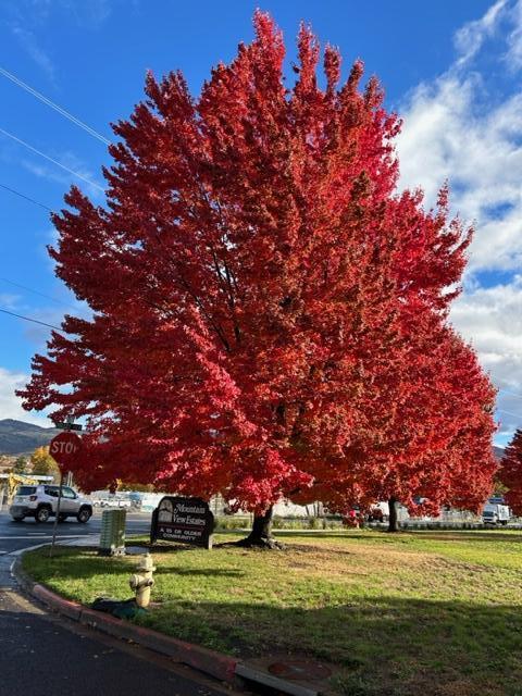 Mountain View Estates Subdivision - Residential