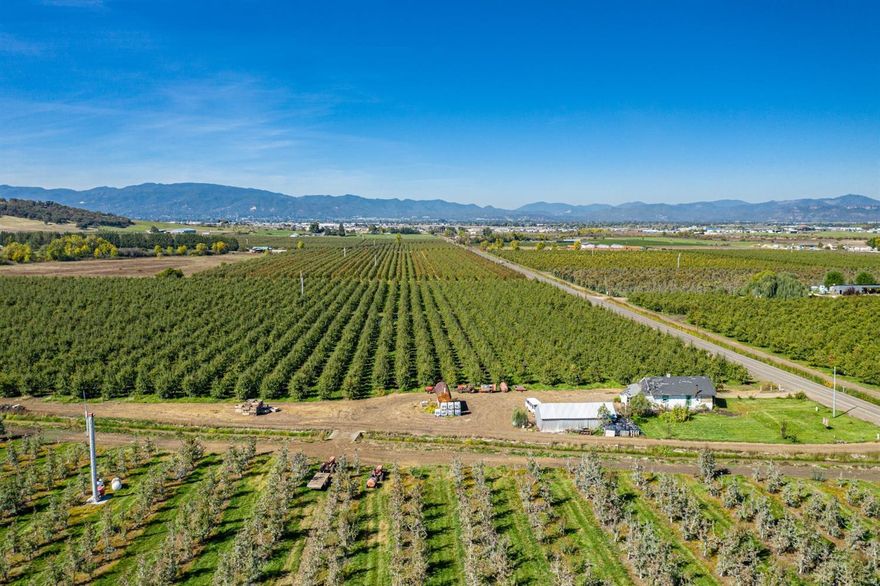 Cate Orchard - Conveniently located in an area known for Vineyard and Rural Estates and just minutes from Medford, Central Point and the Rogue Valley International Airport. This property would serve well as an estate quality Vineyard and Winery. Currently operated as a pear orchard, this property features 39.20 level acres of prime irrigated soils, with 33.20 acres currently planted. Zoned EFU with irrigation and water rights from the Medford Irrigation District (12.9 acres) and Rogue River Valley Irrigation District (25.9 acres) via under tree sprinkler system with pumps and a gravity fed flood system. Property includes a 744 sqft, 1 bed/1 bath Labor House and 640 sqft Machine Shed with 3 bays for storage. Seller is willing to negotiate land preparation for other types of farming. Additional properties and professional orchard management are available, call Listing Broker for more information.