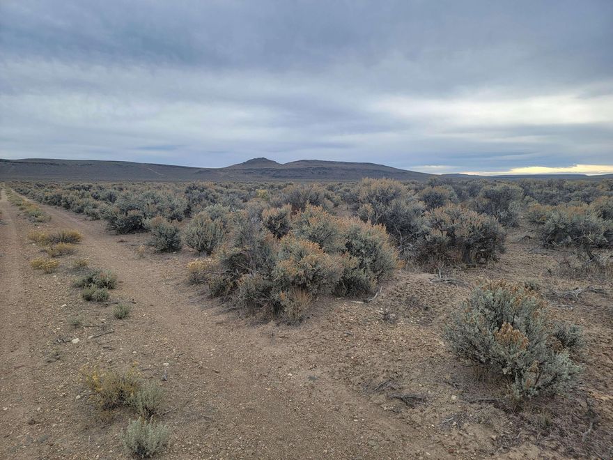 This beautiful 40-acre parcel is ready for your finishing touch. Build your dream home, bring in a manufactured home, or create your own vacation retreat on this peaceful property. Located just a short distance from Christmas Valley off Christmas Valley Highway, it's the perfect escape from the busyness of town.

Surrounded by wide-open desert landscapes, you'll enjoy stunning views, abundant wildlife, and spectacular sunrises and sunsets. The open terrain invites endless recreation—hunting, hiking, horseback riding, bird watching, stargazing, and more.

Convenience is close at hand, too. You'll have easy access to local amenities including restaurants, grocery stores, and fuel stations. This property offers the best of both worlds—a tranquil desert refuge with the essentials of daily life just minutes away.

To build a home on this parcel, you'll need to apply for and obtain a Conditional Use Permit (CUP) from the county, as well as install a domestic well and septic system.