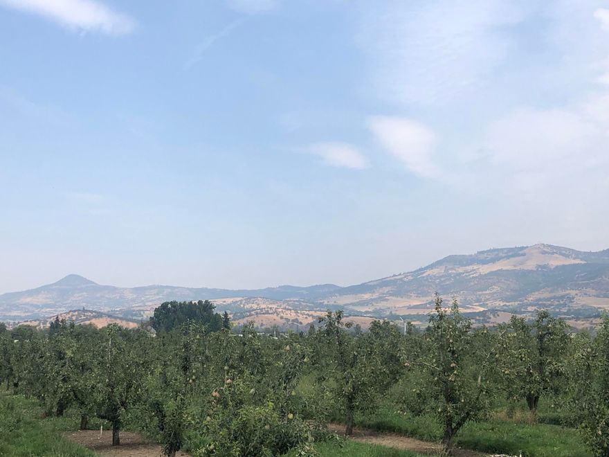 Just under 11 acres of level land zoned EFU.  Home site approval was given under measure 37.  New owner will have 10 years to build new home after closing.  There is an artesian well on the property and TID water rights.  Includes a 30 horse irrigation pump with an underground sprinkler system and 3 phase power access.  Wind machine on the property is not included in the sale.  Test hole was dug in 2012 and septic approval was given in the same year.  Buyer to do own due diligence regarding use and current validity of approvals.  Currently being used as a pear orchard, this level acreage has panoramic mountain views!  This is ''pearadise'' for someone looking for privacy and a place to build their dream home.  Listing agent is related to sellers.