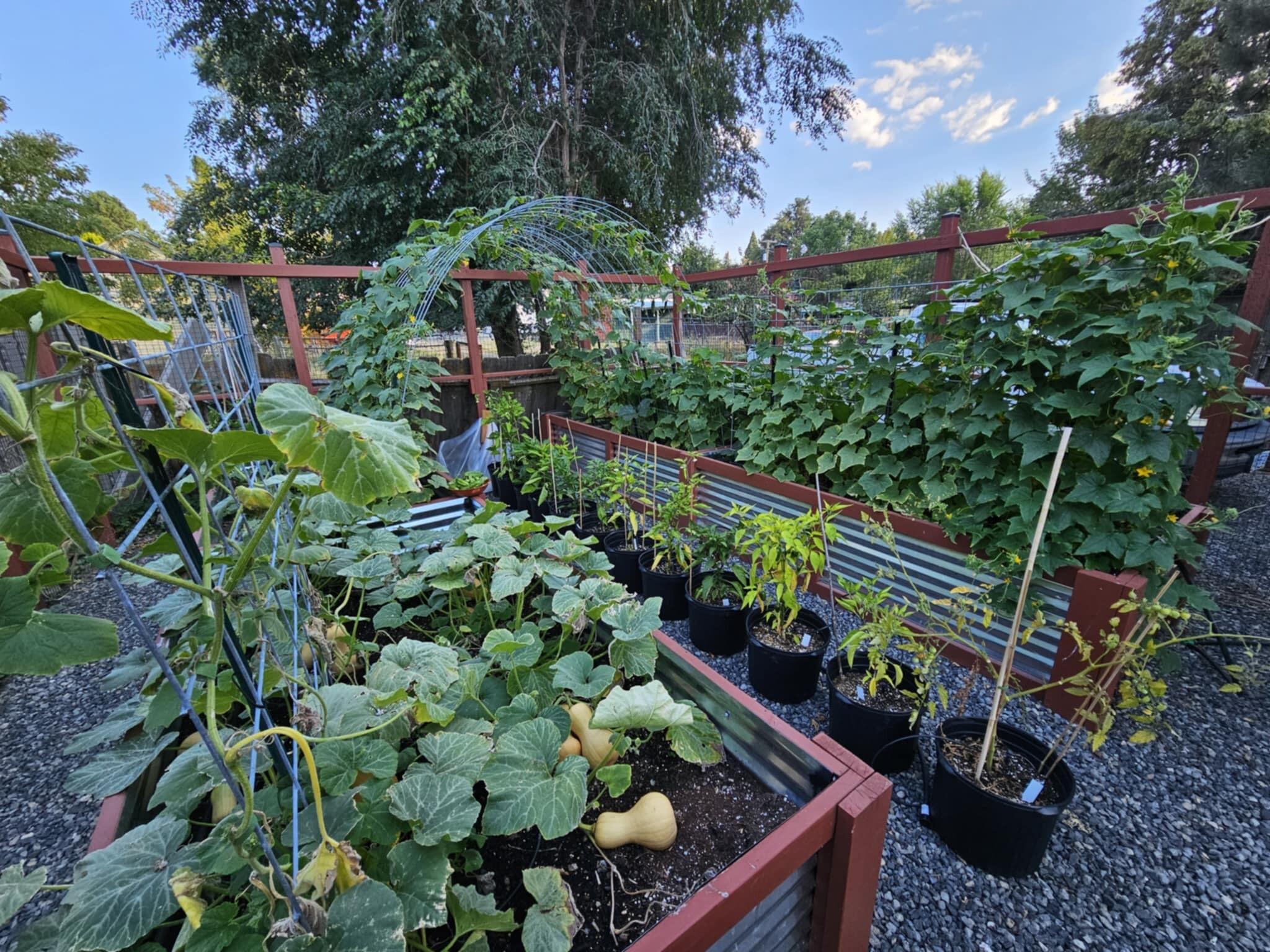 Klamath Falls -Buena Vista Addition - Residential