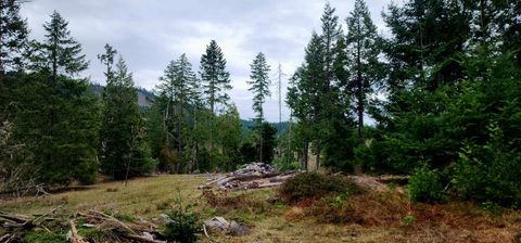 Tiny photo for 11000 Oregon 227, Trail, OR 97541 (MLS # 220215688)