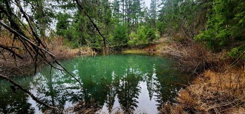 Tiny photo for 11000 Oregon 227, Trail, OR 97541 (MLS # 220215688)