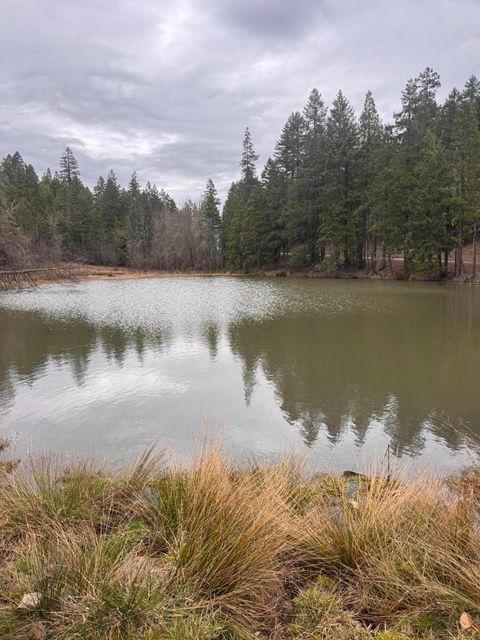 Tiny photo for 11000 Oregon 227, Trail, OR 97541 (MLS # 220215688)