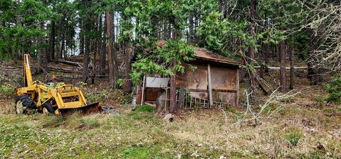 Tiny photo for 11000 Oregon 227, Trail, OR 97541 (MLS # 220215688)