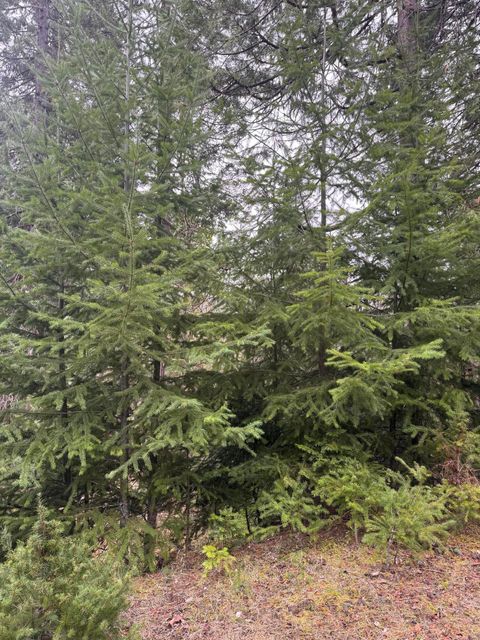 Tiny photo for 11000 Oregon 227, Trail, OR 97541 (MLS # 220215688)