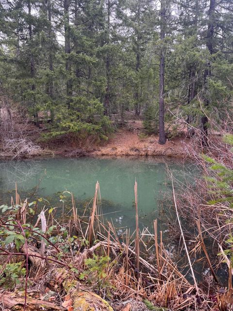 Tiny photo for 11000 Oregon 227, Trail, OR 97541 (MLS # 220215688)