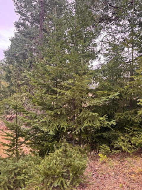 Tiny photo for 11000 Oregon 227, Trail, OR 97541 (MLS # 220215688)