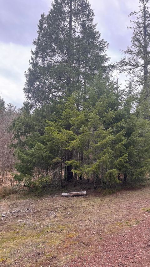 Tiny photo for 11000 Oregon 227, Trail, OR 97541 (MLS # 220215688)