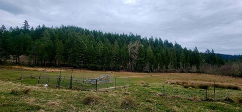 Tiny photo for 11000 Oregon 227, Trail, OR 97541 (MLS # 220215688)