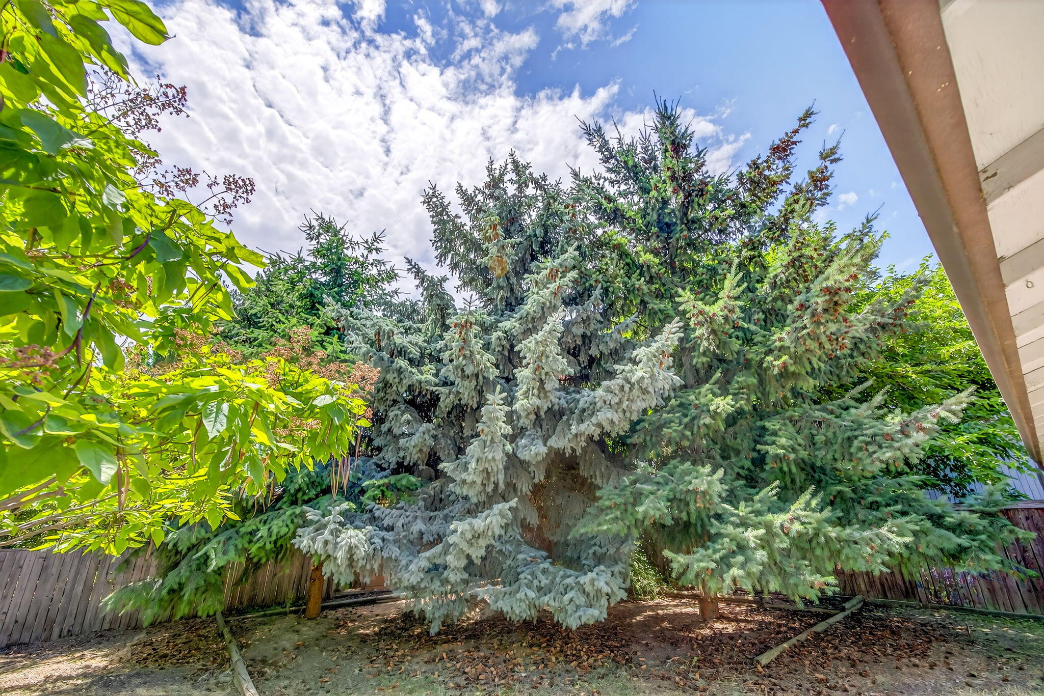 Taylor Subdivision - Residential