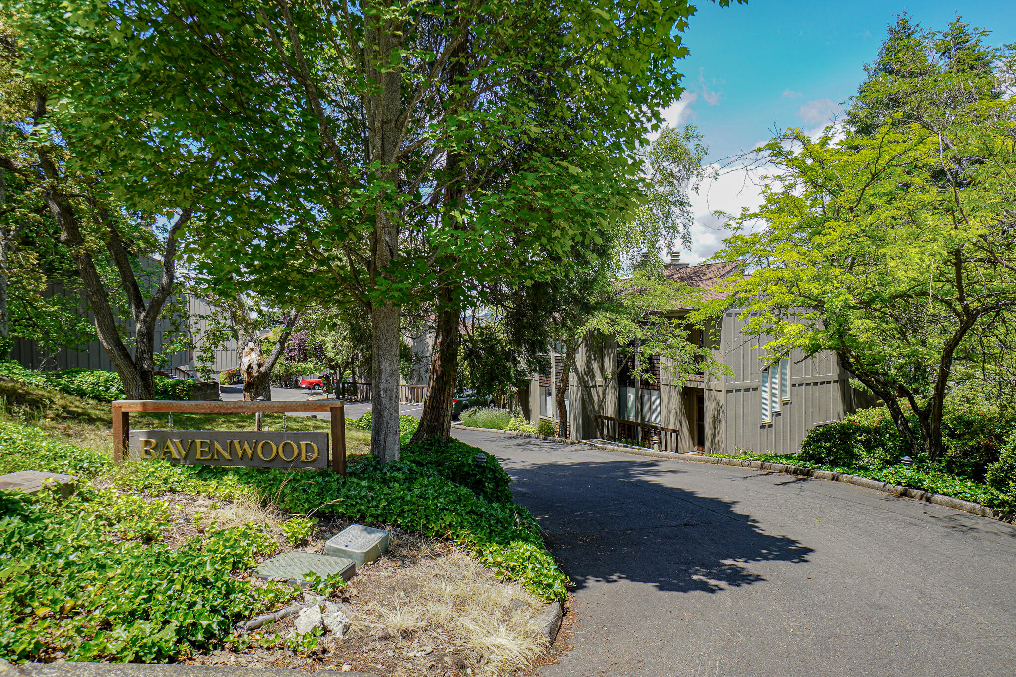 Ravenwood Townhomes (amended) - Residential