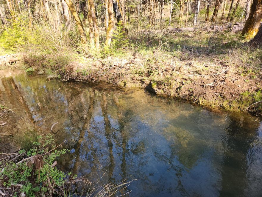 Looking for a truly unique residential lot that offers the perfect combination of privacy, natural beauty, and modern amenities? Look no further than this stunning 5.04-acre lot located in the 35000 block of Redwood Hwy in O'Brien, Oregon.

Situated on the banks of the idyllic Grannys Run Creek, this lot offers the best of both worlds, with ample space to build your dream home and a beautiful natural feature right in your backyard. And with a well already on the property, you'll have easy access to a reliable source of water, making this lot an ideal choice for those seeking a more sustainable way of living.

Imagine waking up each morning to the soothing sound of running water, stepping outside to breathe in the fresh, clean air, and spending your days exploring the surrounding natural beauty. Whether you're an avid hiker, a nature lover, or simply seeking a quiet and peaceful retreat, this lot has everything you need to make your dreams a reality.

Don't miss out, call now!