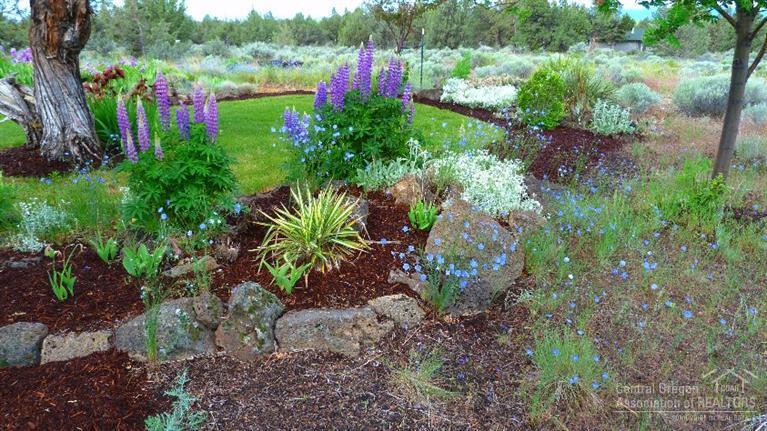 Cimarron City - Residential