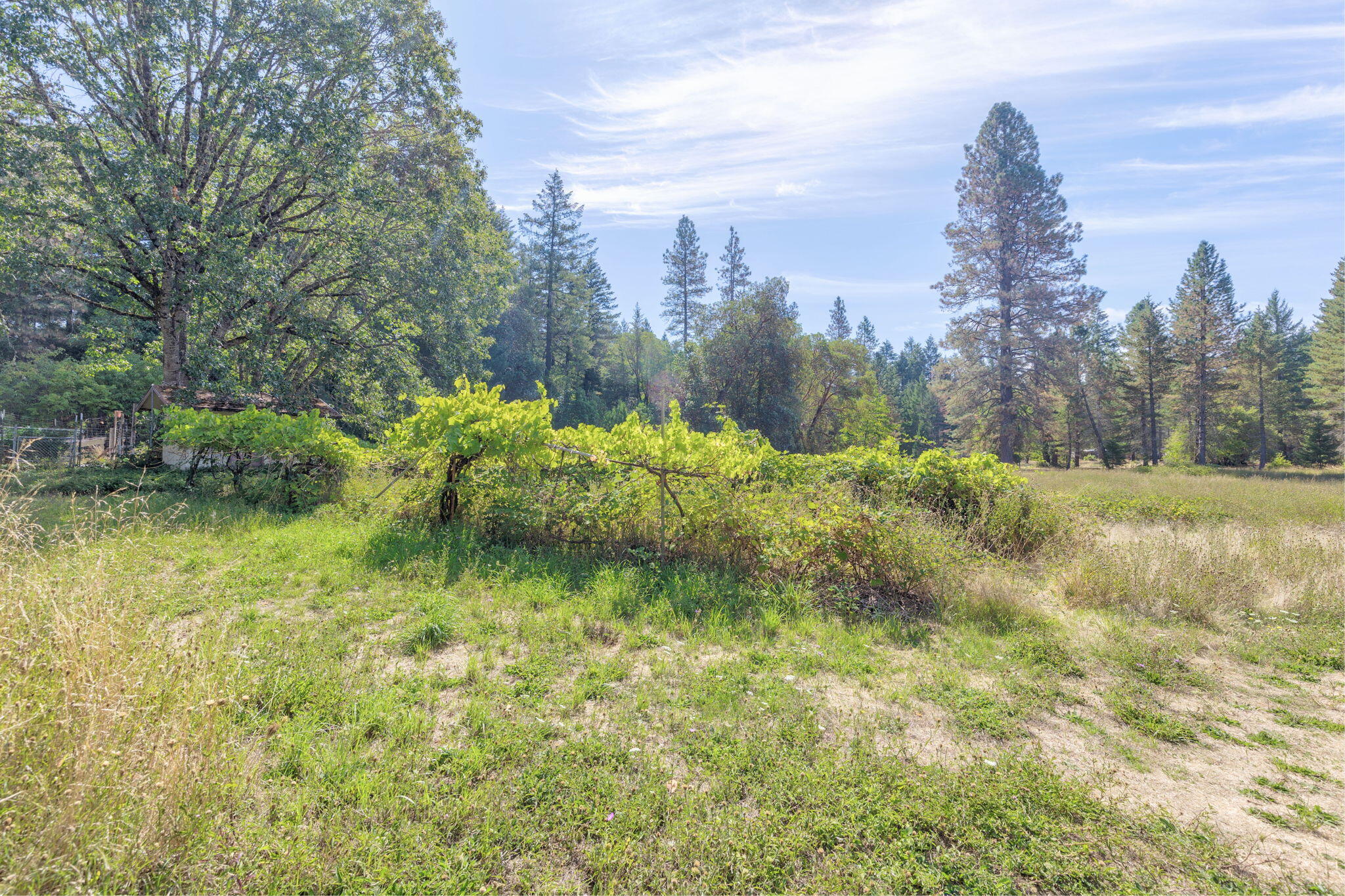 Josephine Addition To Grants Pass - Residential Income