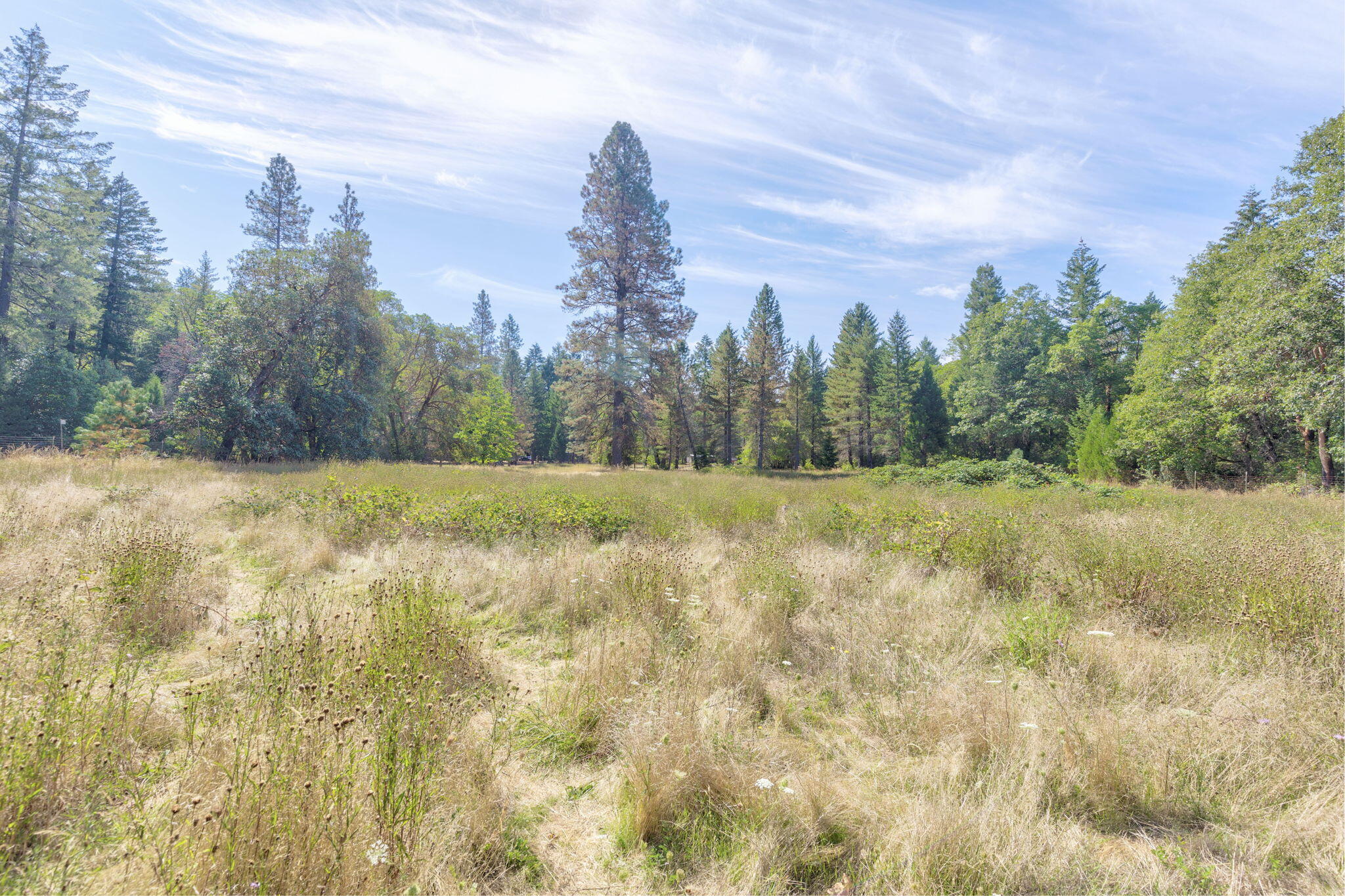 Josephine Addition To Grants Pass - Residential Income