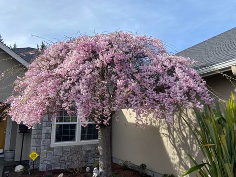 Tiny photo for 1116 Cashmere Drive, Grants Pass, OR 97527 (MLS # 220215016)