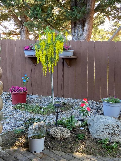 Tiny photo for 1116 Cashmere Drive, Grants Pass, OR 97527 (MLS # 220215016)