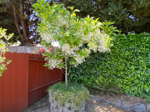 Tiny photo for 1116 Cashmere Drive, Grants Pass, OR 97527 (MLS # 220215016)