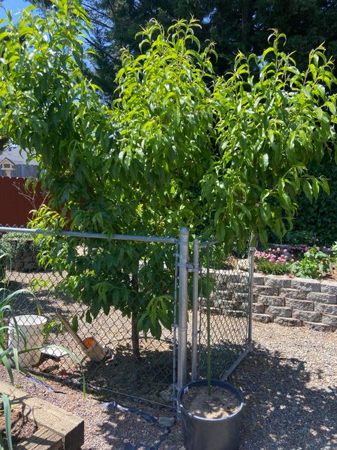 Tiny photo for 1116 Cashmere Drive, Grants Pass, OR 97527 (MLS # 220215016)