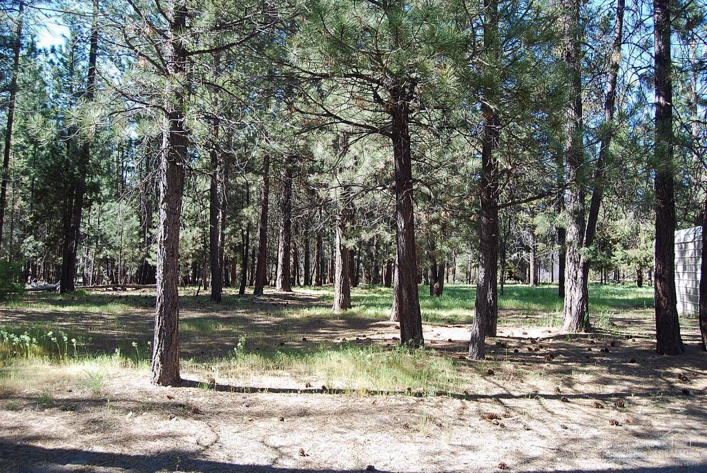 Ponderosa Pines East - Residential