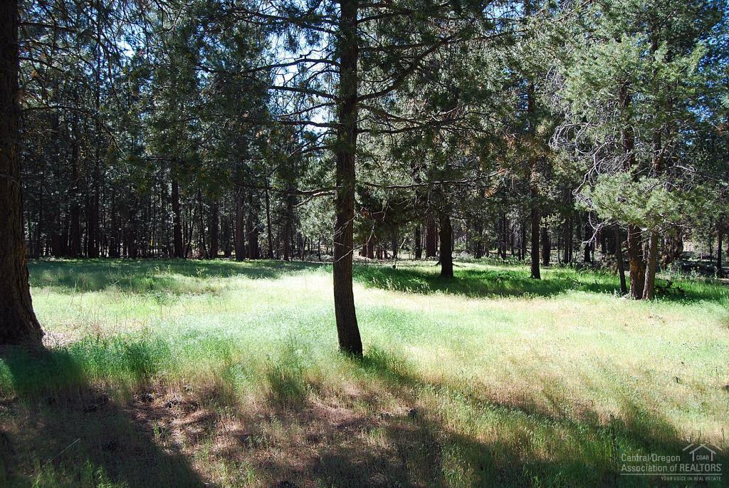 Ponderosa Pines East - Residential