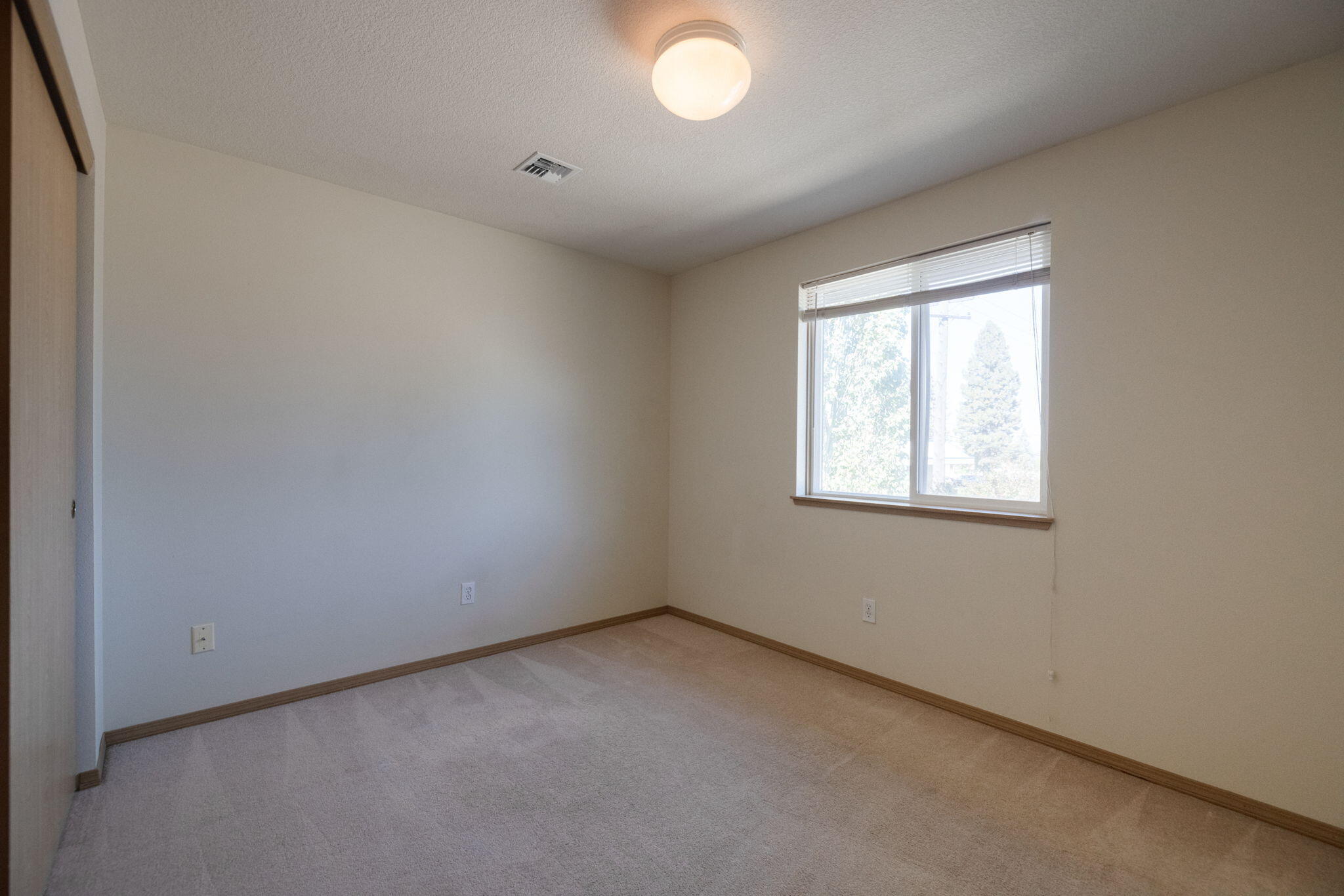Sugar Pine - Residential