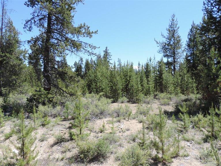 Whispering Meadows - Land