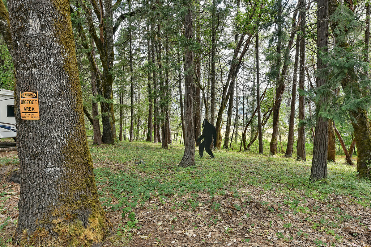 N/A - Commercial Sale