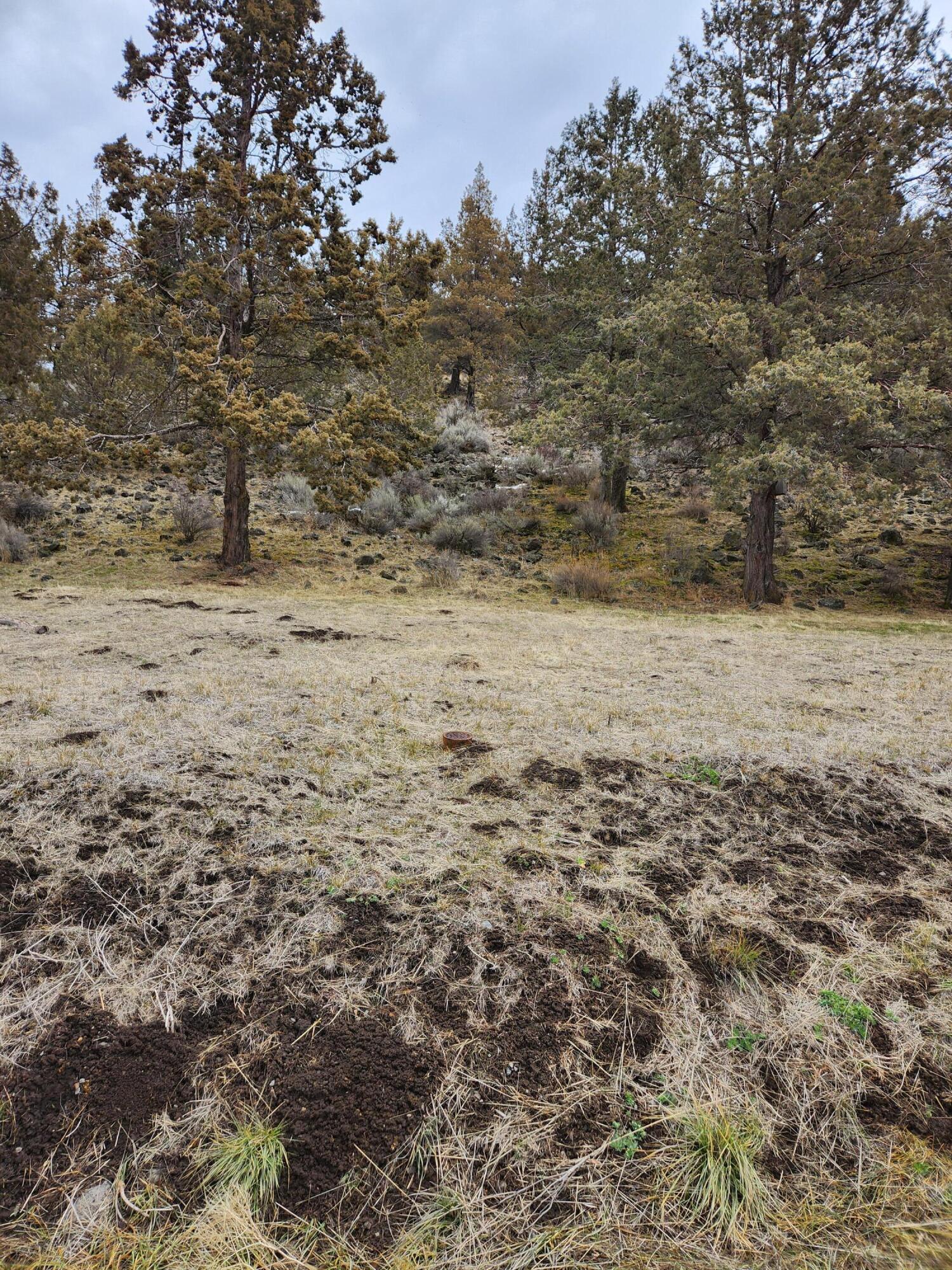 Running YResort - Land