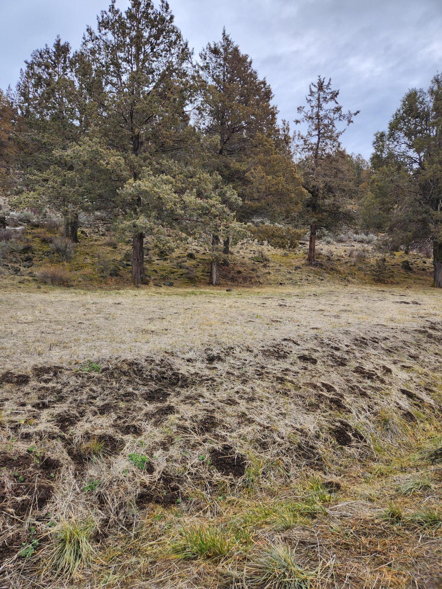 Running YResort - Land