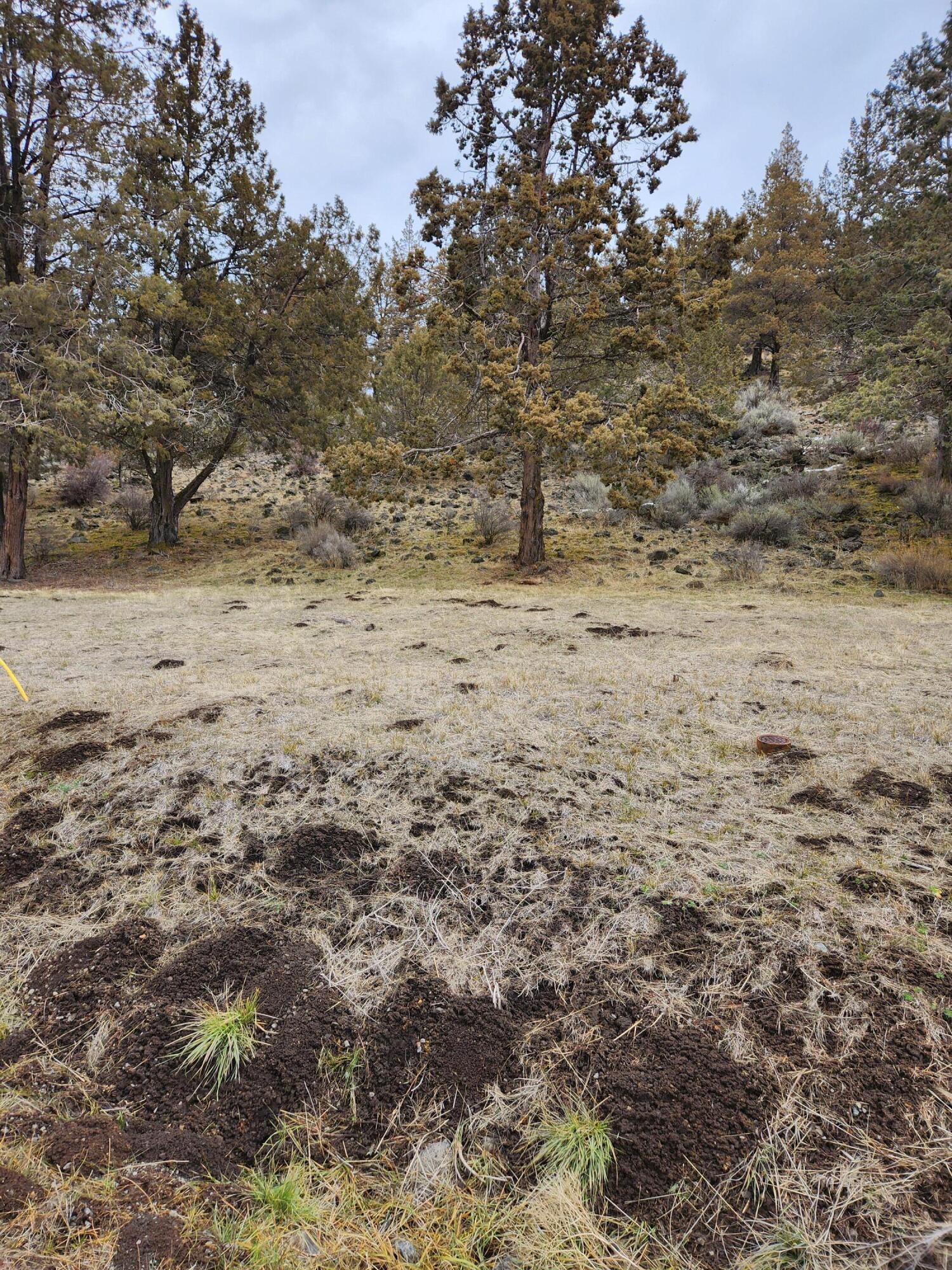 Running YResort - Land