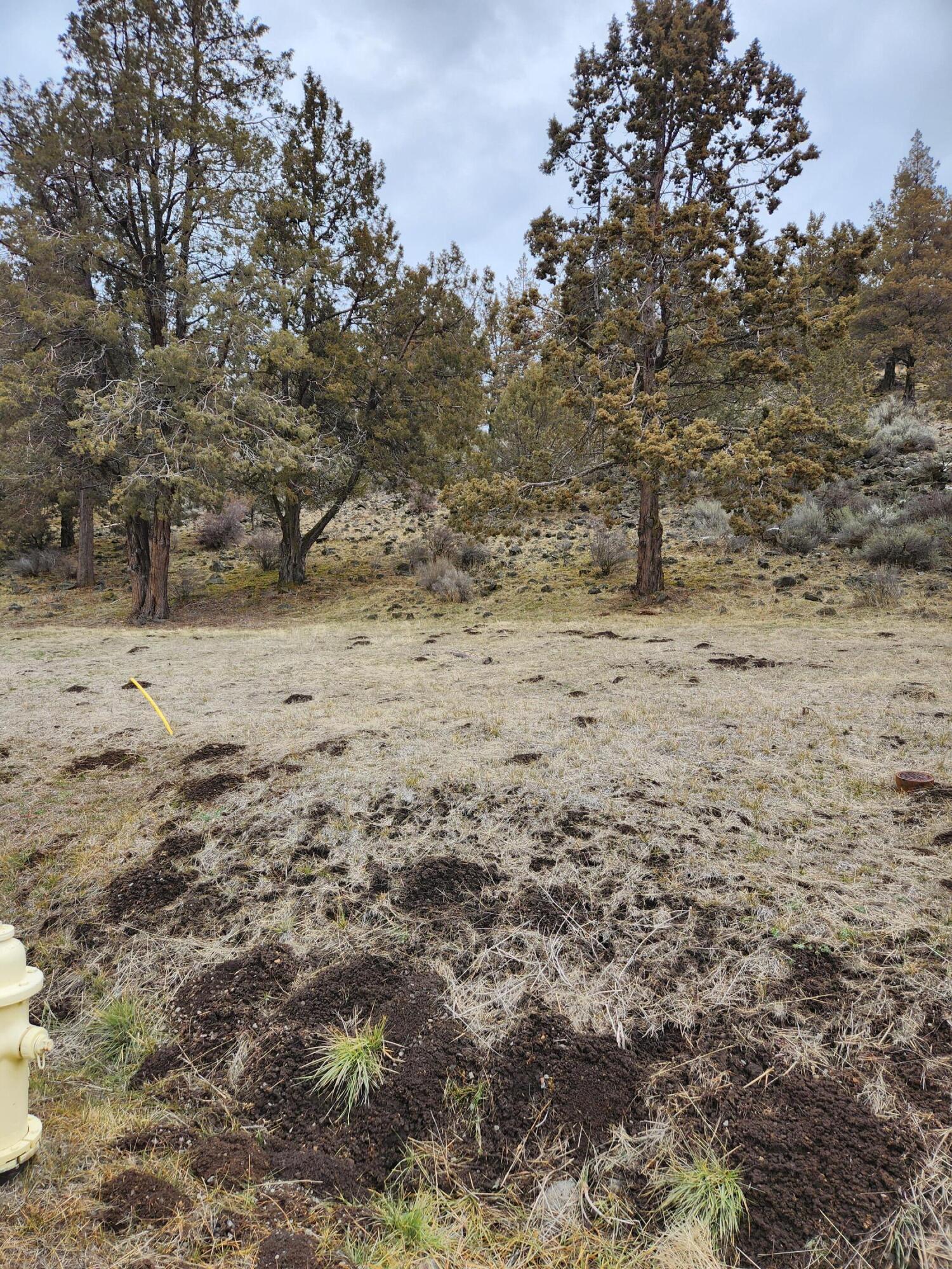 Running YResort - Land