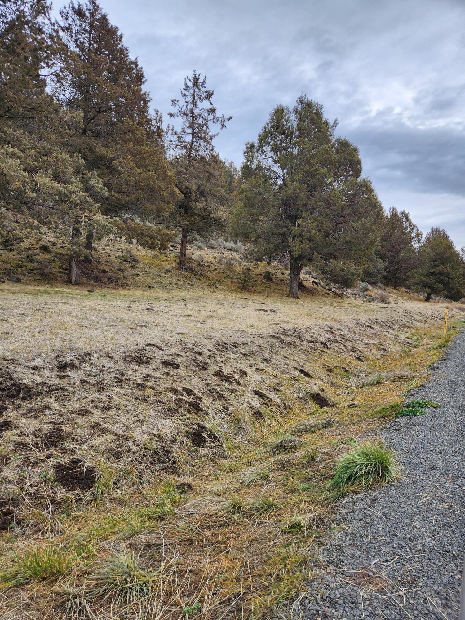 Running YResort - Land