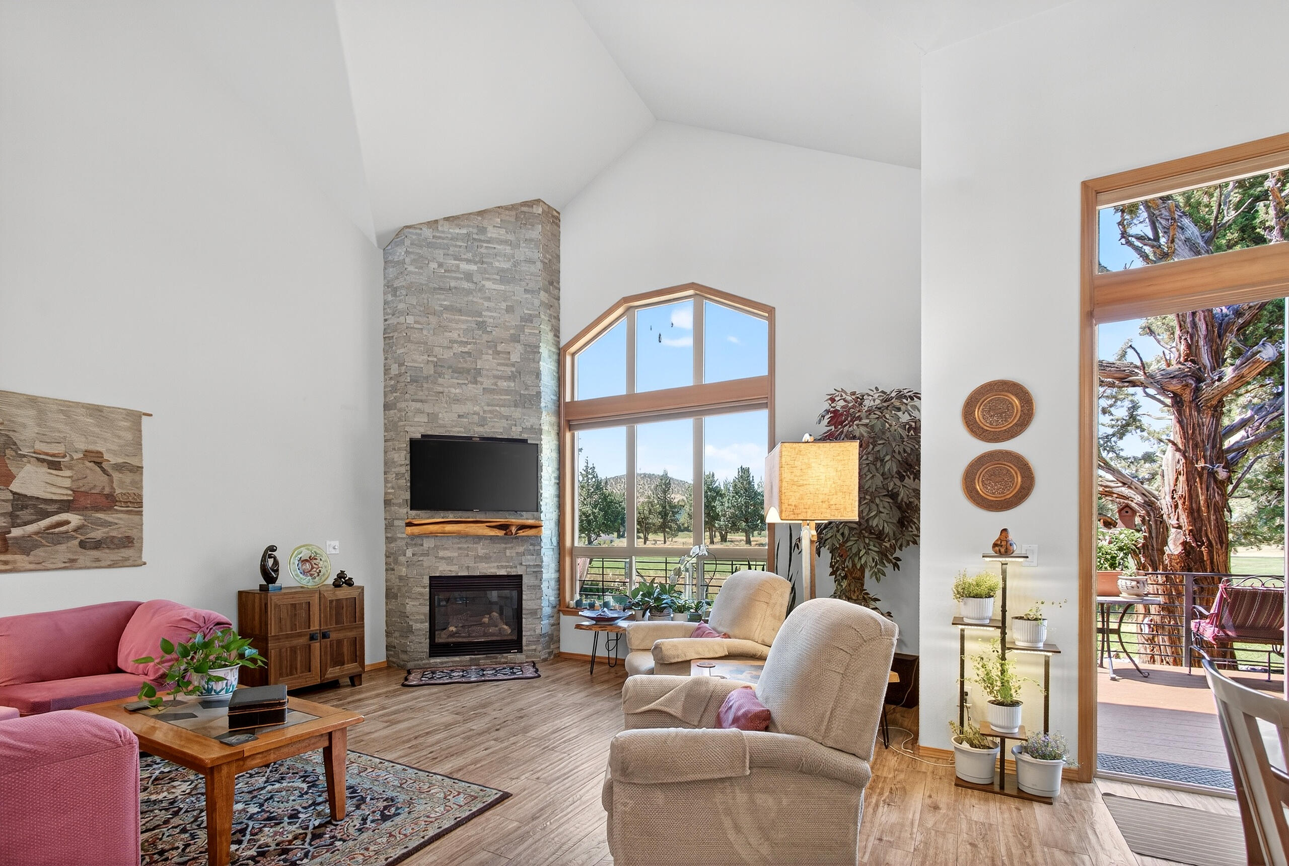 2035 Cinnamon Teal Drive