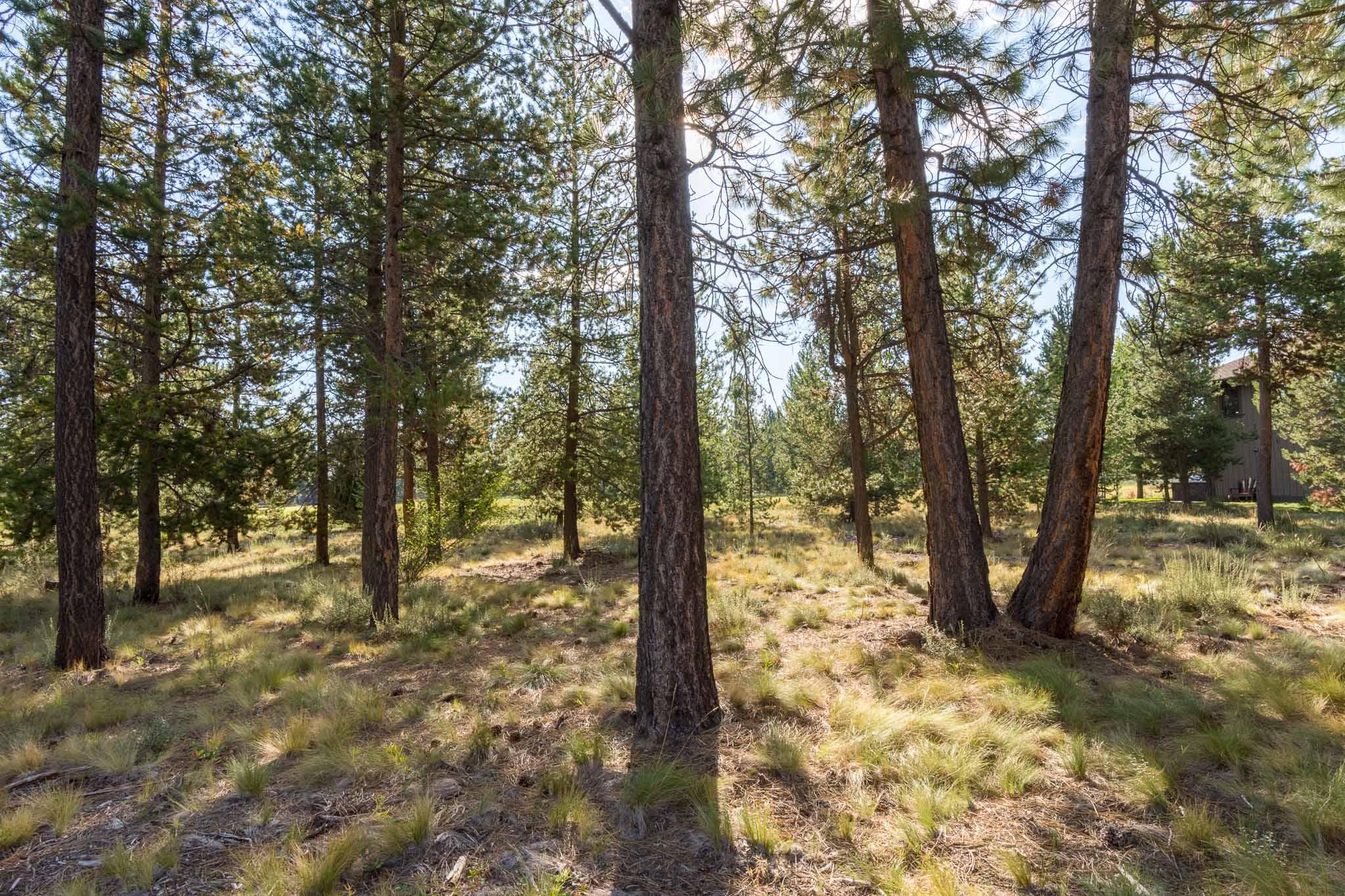 Caldera Springs - Land